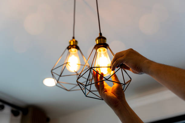Best Home Electrical Repair  in Walnut, IL