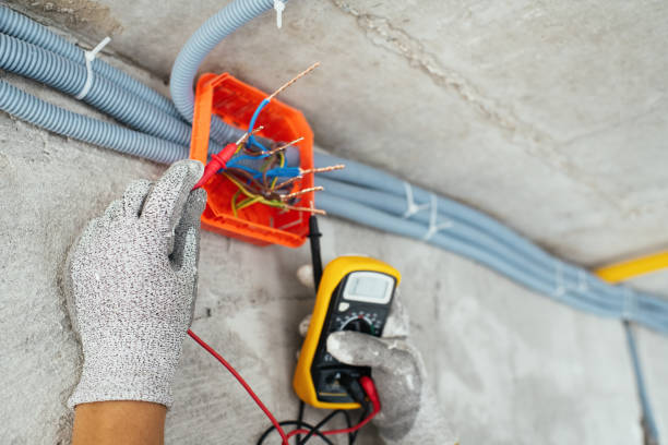 Best Electrical Repair Services  in Walnut, IL